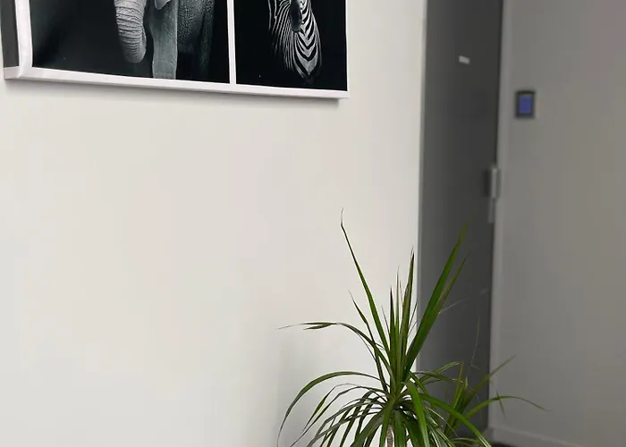 Du Faubourg Apartman *