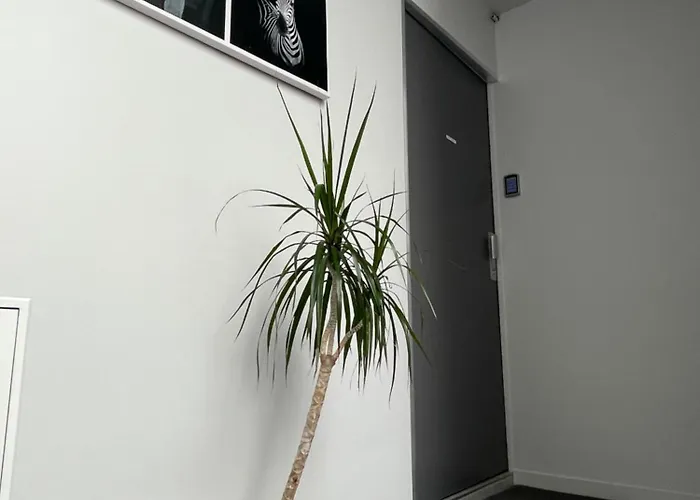 Du Faubourg * ואלנס