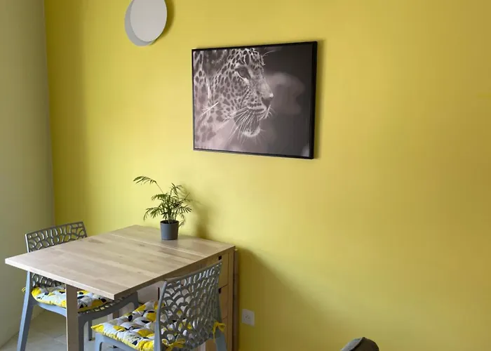 Du Faubourg Apartment Valence (Drome)