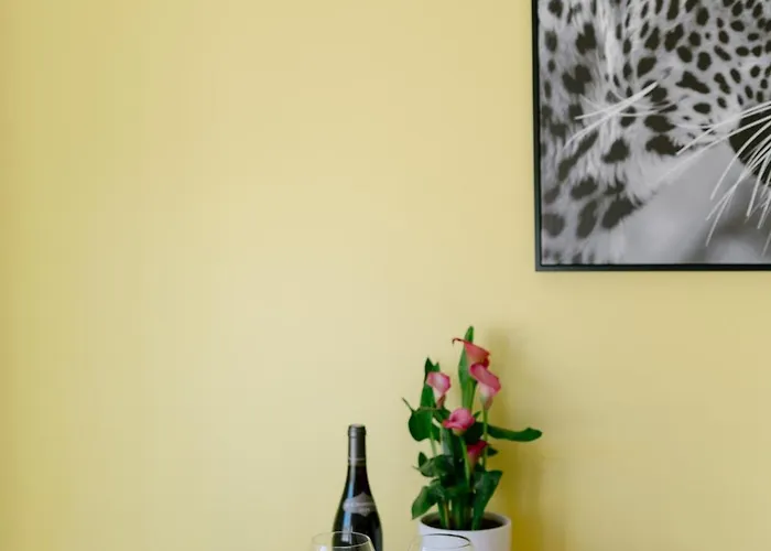 Apartamento Du Faubourg 1 A 3 Personnes